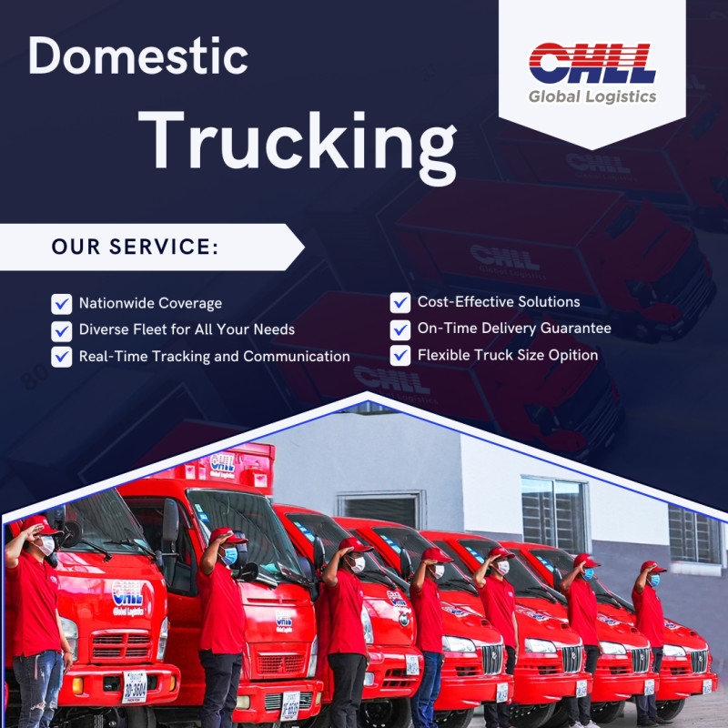 Domestic Trucking Solution